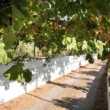 Holiday home Mandarinies Boutique