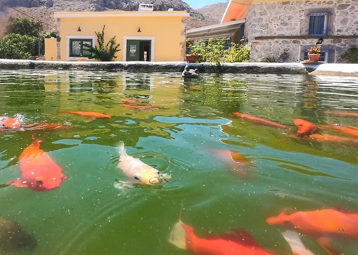 Mandarinies Boutique Prázdninový dům Vathis