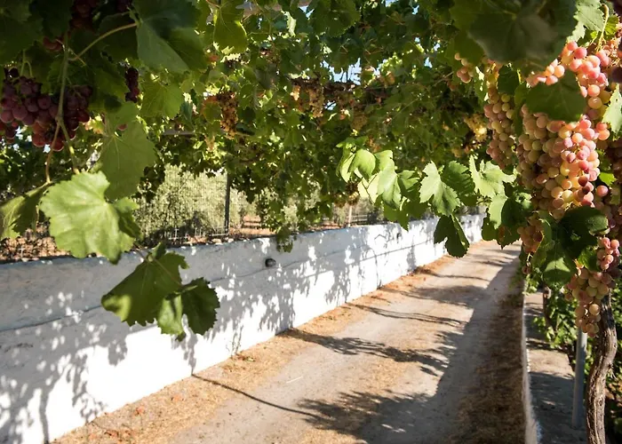 Prázdninový dům Mandarinies Boutique